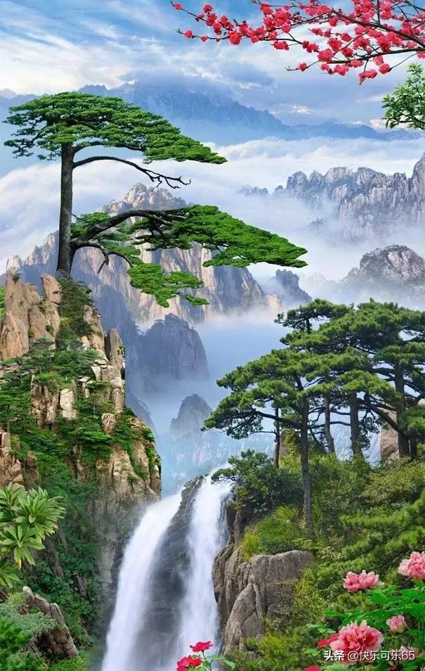 时尚红人莎莉