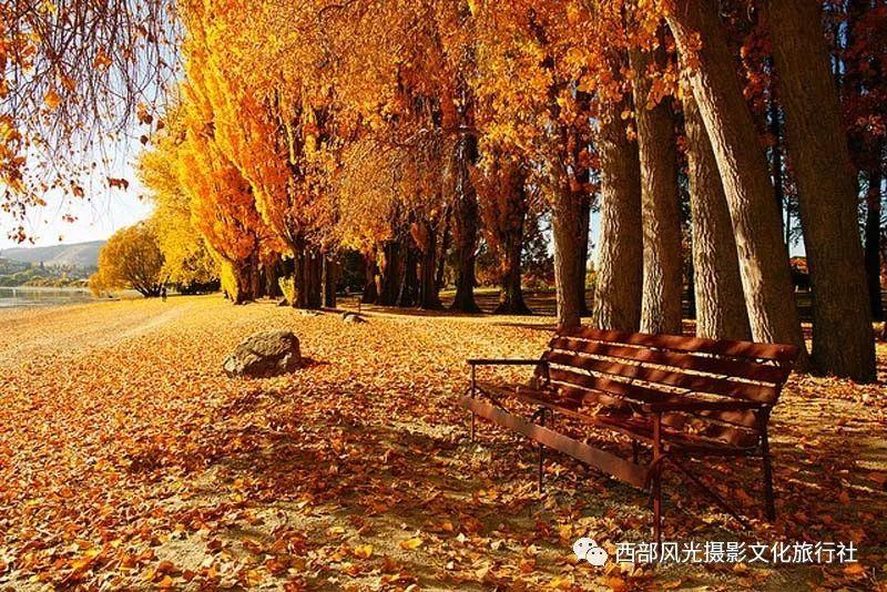 《临时劫案》:全体成员都废物?疯狂剧情曝光