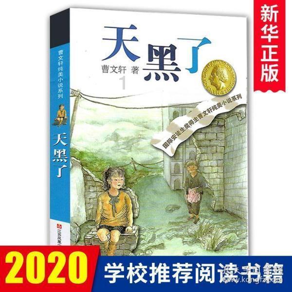 沙漠赛道驾驶