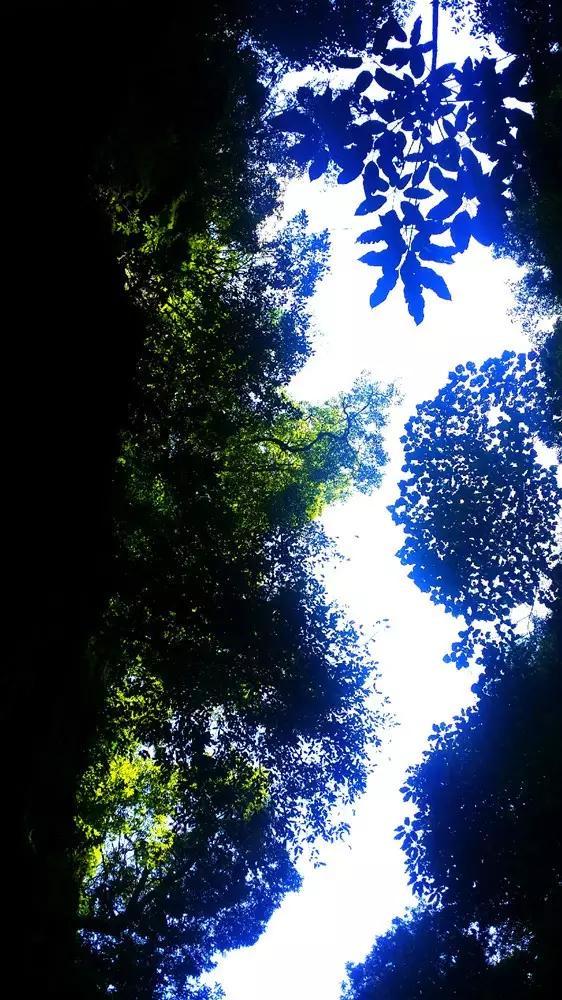 门票免费送!送!送!重要的事情说三遍!!!