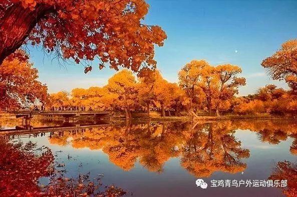 抛售潮后，五年期美债又可以了？