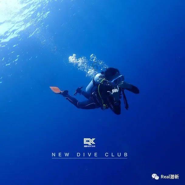 像素世界大冒险