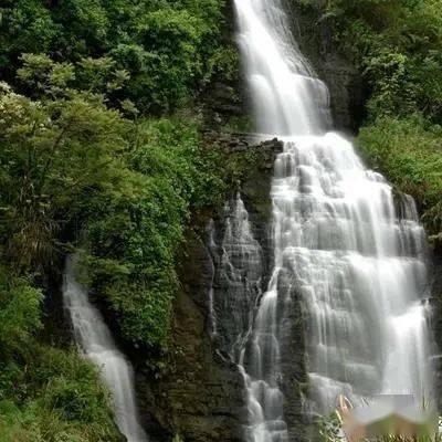 救援小袋熊