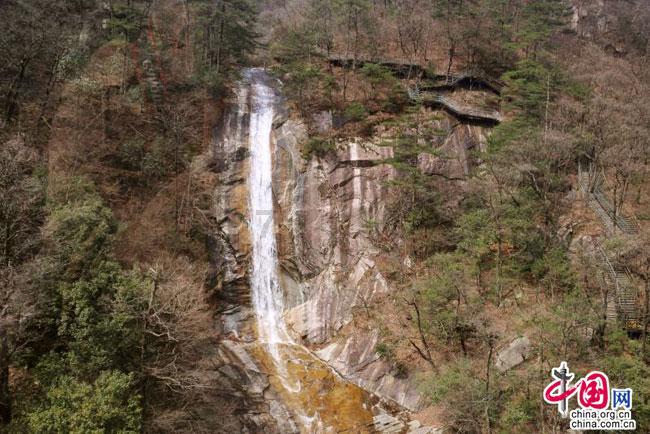 新农人深耕乡土 “领头雁”振兴乡村