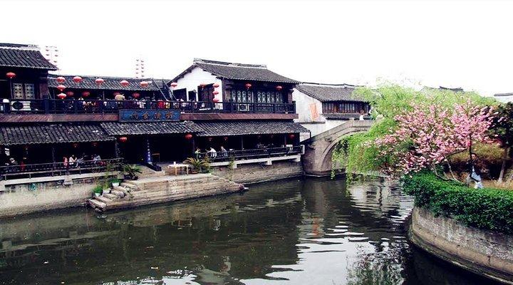 齐乐“龙龙”赶大集