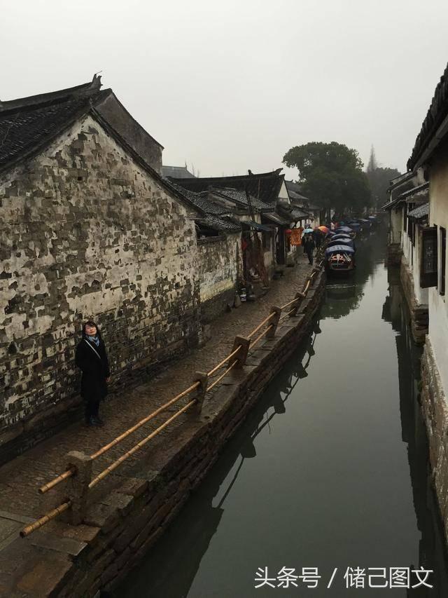 主人刷鸽子进食视频,被真鸽子群围啄屏幕,鸽子们为何会这么做?,全球最热门的社交红迪网平台
