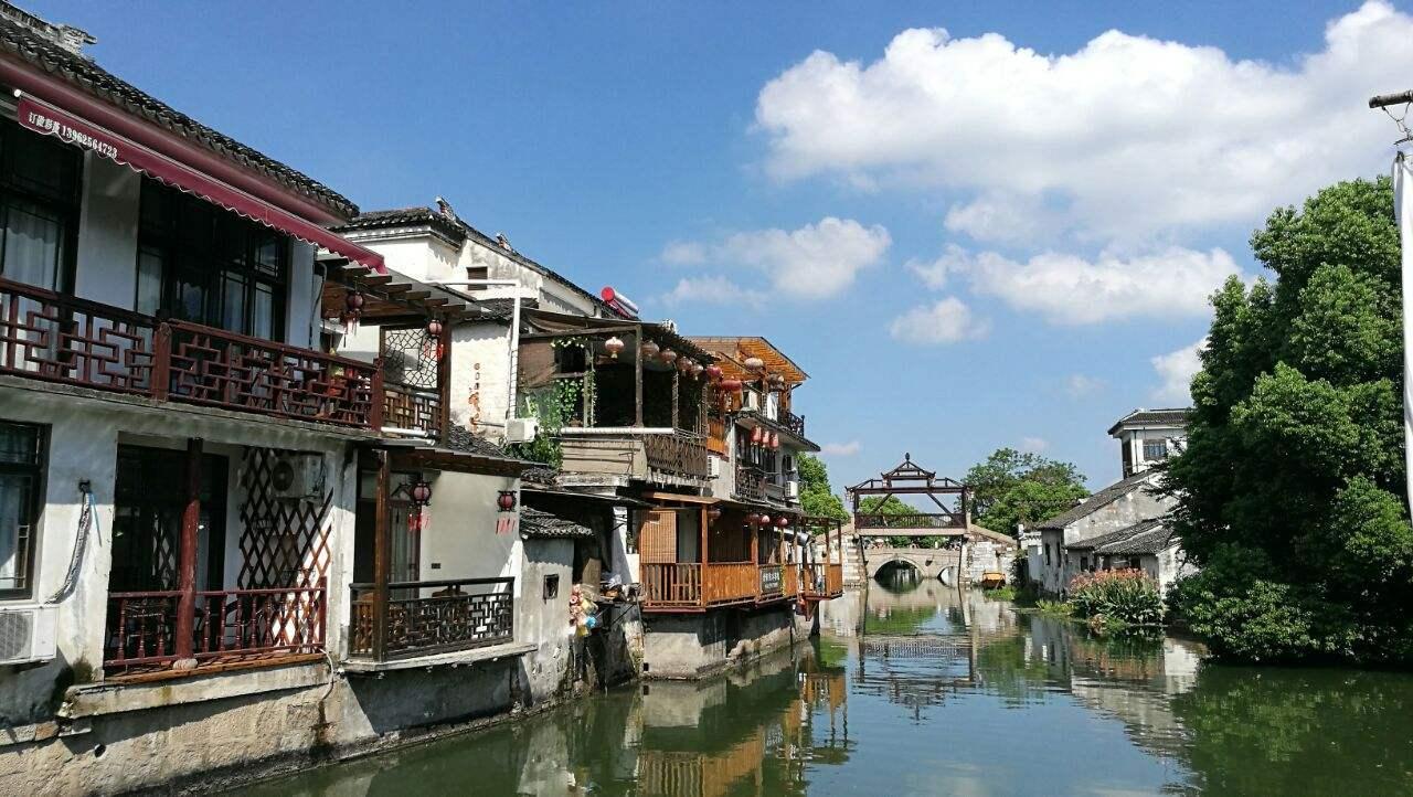 逃离金刚鹦鹉森林