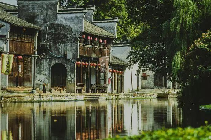 小鸟嘴巴有点歪！红交嘴雀首次现身甘肃尕海则岔保护区