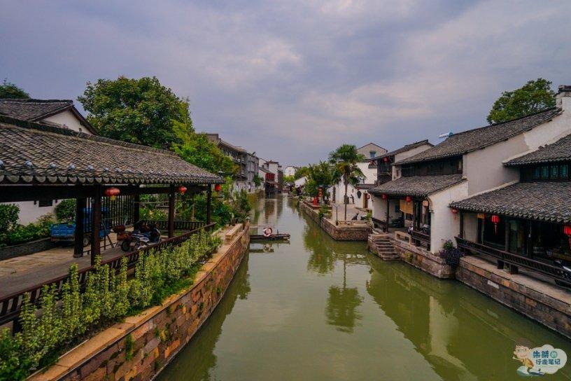 国王的坐骑
